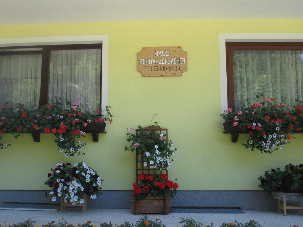 Schwarzenbacher Lungötz Pokój zdjęcie